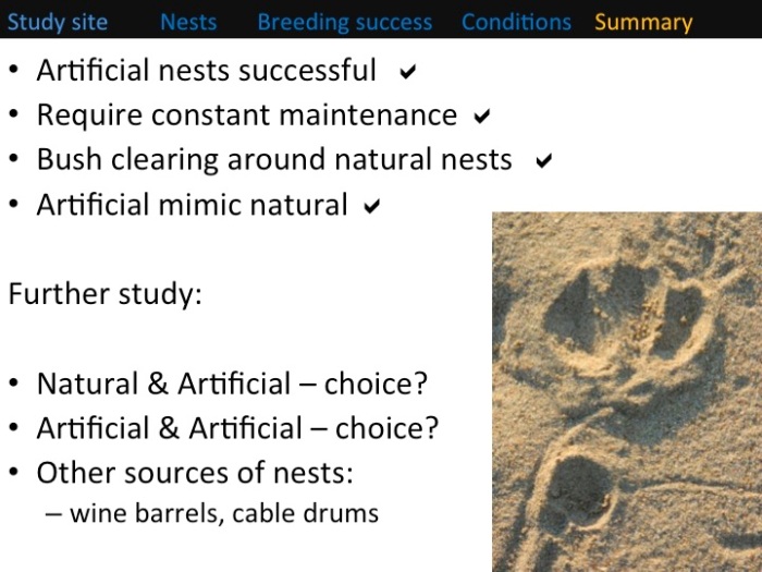 Kate Meares, 6th International Hornbill Conference, slide 17